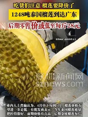 1248吨泰国榴莲到达广东，后期零售价或低至每斤28元