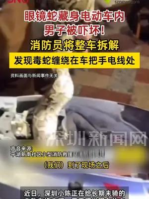 有毒眼镜蛇藏身电动车内 消防员拆解车辆抓获