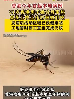 21岁香港男子确诊登革热