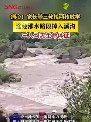 家长骑三轮接两名孩子放学，途中掉入水中，三人均不幸身亡