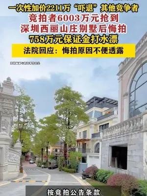 竞拍者6003万元抢到深圳西丽山庄别墅后悔拍