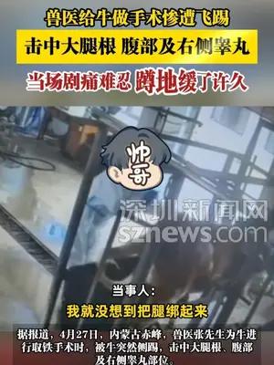 兽医给牛做手术惨遭飞踢，击中大腿根 腹部及右侧睾丸