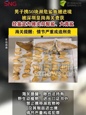 男子携50块濒危鲨鱼翅进境被海关查获
