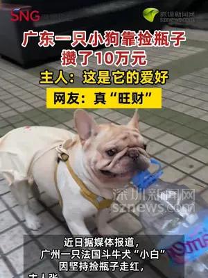 广东一只小狗靠捡瓶子攒了10万元