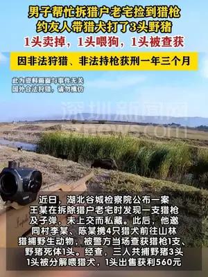 男子帮拆老宅捡猎枪不上交，约友狩猎野猪获刑