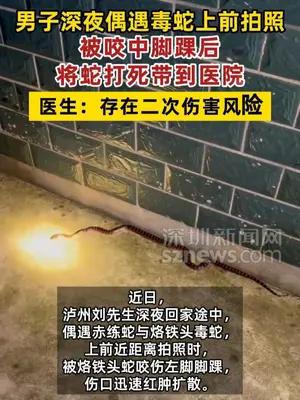 男子发现毒蛇上前拍照，被咬中脚后将蛇打死带到医院