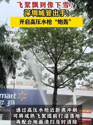 深圳城管开启高压水枪“炮轰”飞絮