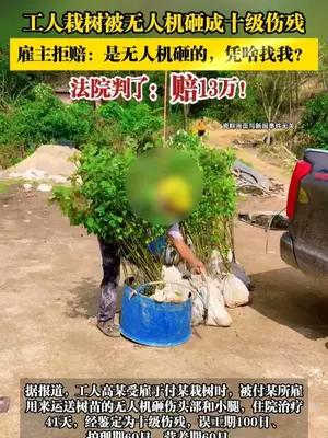 工人栽树被无人机砸成十级伤残，雇主拒赔