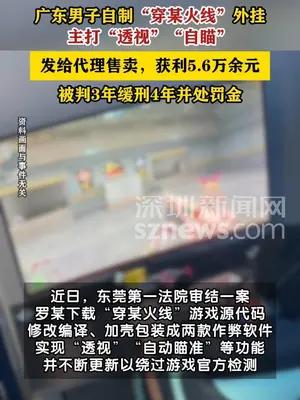 东莞两名男子制售游戏外挂软件获刑