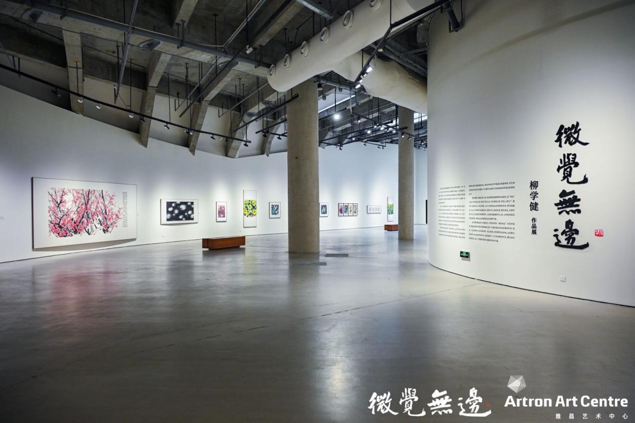 “微觉无边——柳学健作品展”在雅昌（深圳）艺术中心开幕
