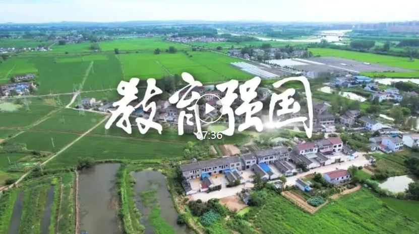 广东发布县中振兴方案，系统部署实施八大重点任务