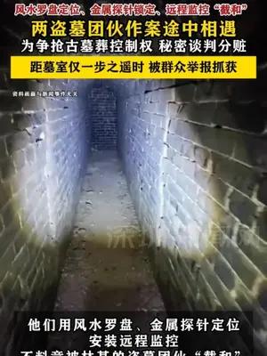 两盗墓团伙作案途中相遇为争抢古墓葬控制权秘密谈判分赃