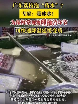 广东荔枝泡“药水”？专家：是冰水！