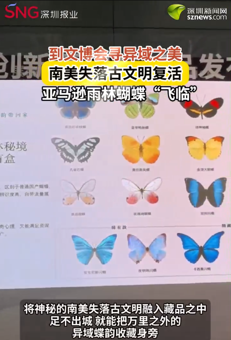 到文博会寻异域之美 南美失落古文明复活 亚马逊雨林蝴蝶“飞临”