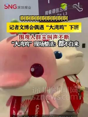 记者文博会偶遇“大湾鸡”下班 围观人群尖叫声不断