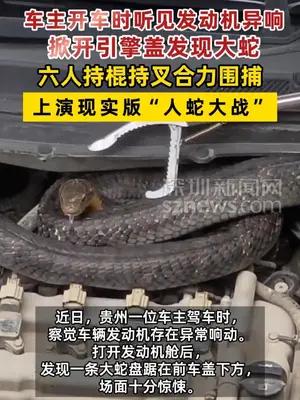 车主开车时听见异响，掀开引擎盖发现大蛇
