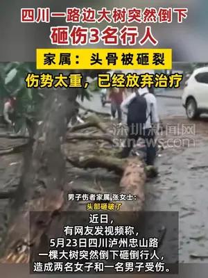 四川一路边大树突然倒下砸伤3名行人