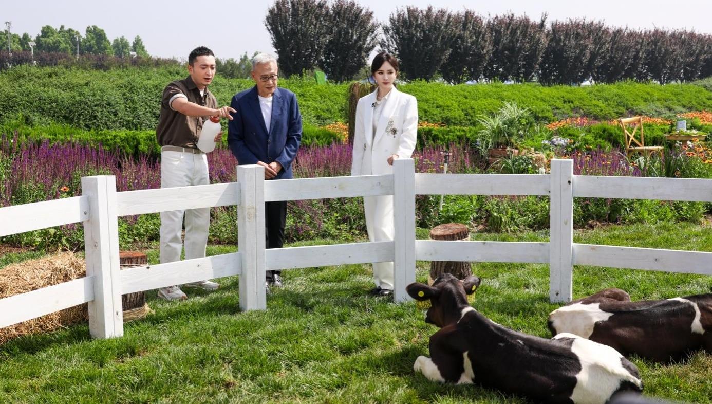 央视新闻探访君乐宝奶粉：全链透明铸就中国奶粉底气