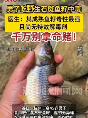 男子吃野生石斑鱼籽中毒尚无解药
