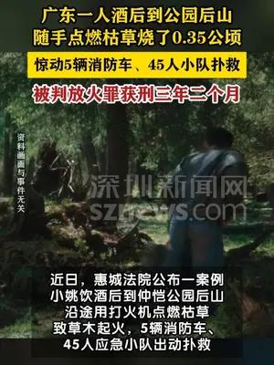 一人酒后点燃公园后山枯草引发火灾获刑
