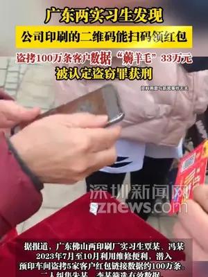 广东两实习生盗拷100万条客户数据“薅羊毛”33万元获刑