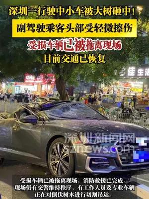 深圳一行驶中小车被大树砸中
