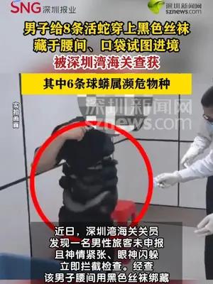 男子用黑色丝袜绑藏8条活蛇进境被海关查获