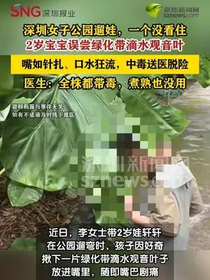 2岁男童公园误食滴水观音叶紧急送医脱险