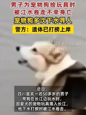 男子为宠物狗捡玩具时被江水卷走不幸身亡