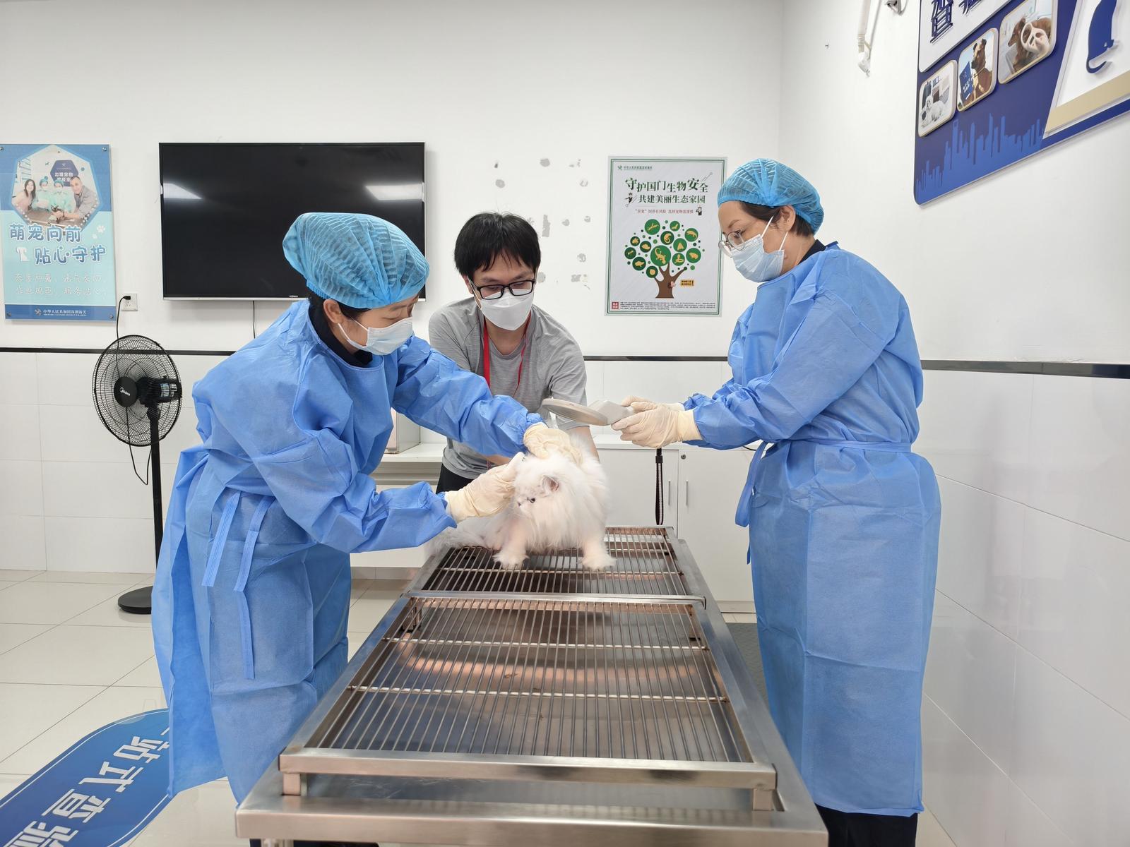 利好铲屎官！宠物赴港隔离从120天缩至30天，深圳海关一年帮宠主省 超50万元