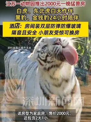 江苏一动物园推出2000元一晚猛兽房