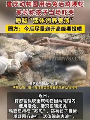重庆动物园用活兔活鸡喂蛇，家长称孩子当场吓哭