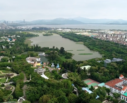 深圳民间力量“卷”出生态新高度 六五环境日共绘生态答卷
