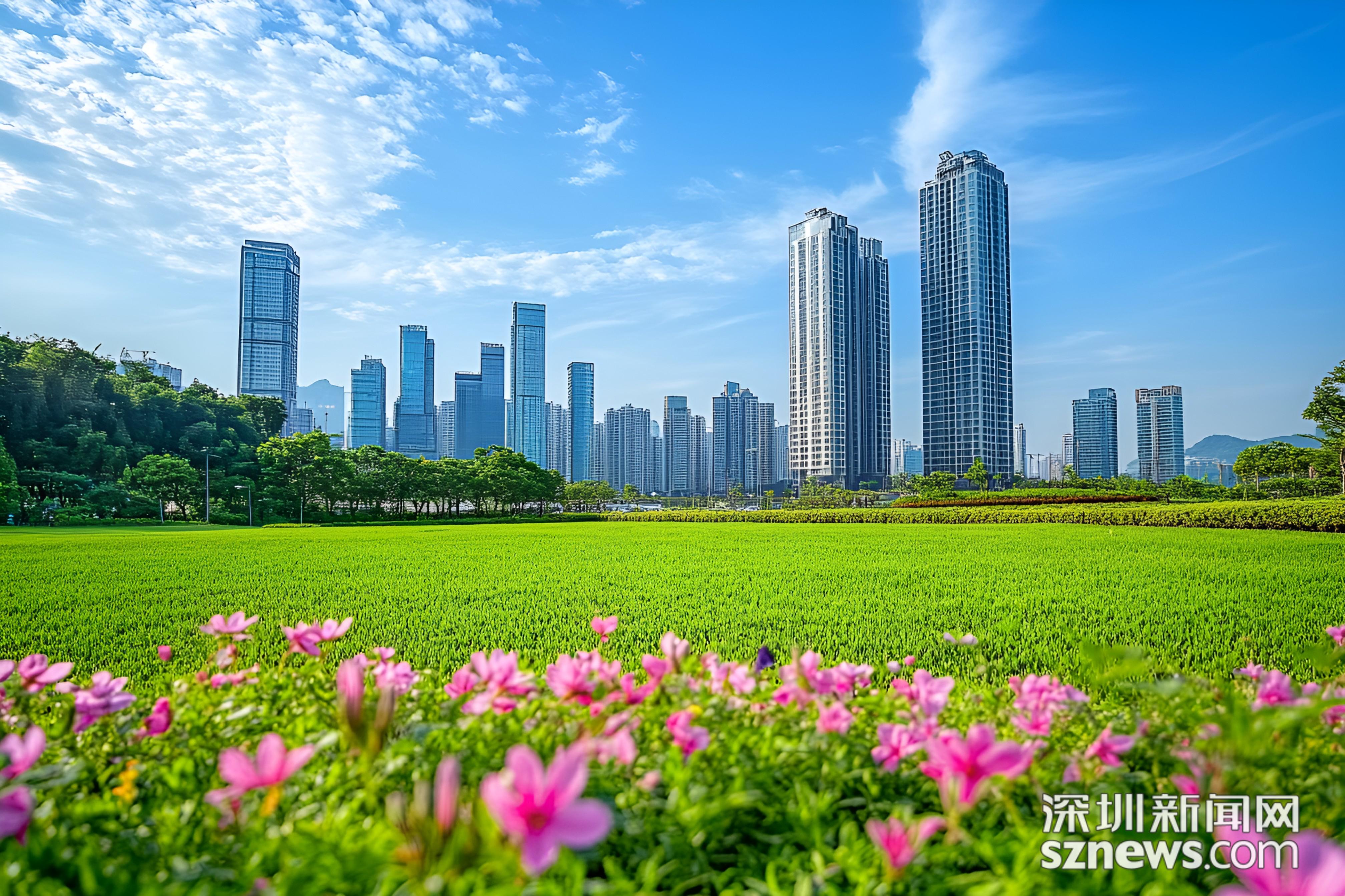 深圳现代城市风光高楼大厦蓝天白云草地花朵商业照片(商业使用).jpg 深圳现代城市风光高楼大厦蓝天白云草地花朵商业照片(商业使用).jpg