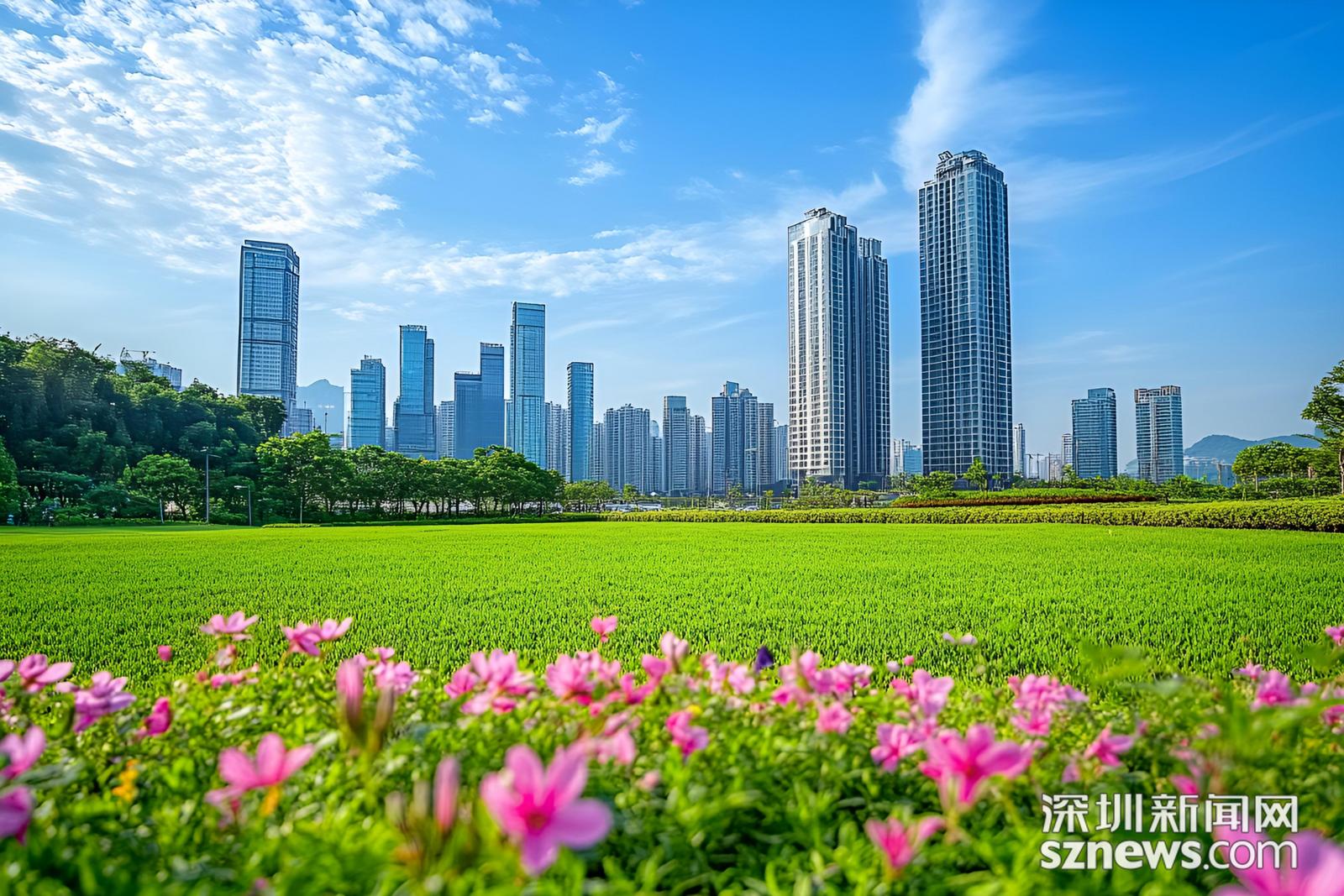 深圳现代城市风光高楼大厦蓝天白云草地花朵商业照片(商业使用).jpg 深圳现代城市风光高楼大厦蓝天白云草地花朵商业照片(商业使用).jpg