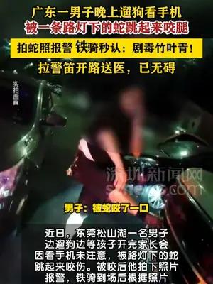 男子夜间散步被竹叶青跳起来咬伤