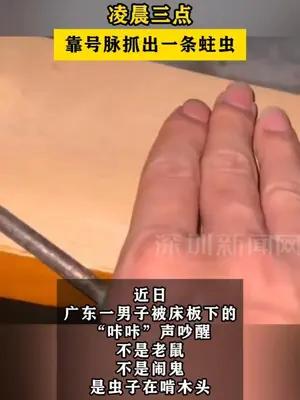 广东男子自创“床脉学”，靠号脉抓出一条蛀虫