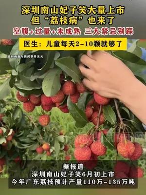 深圳南山妃子笑大量上市，但“荔枝病”也来了