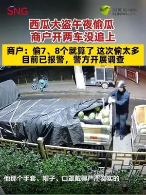 西瓜大盗午夜偷瓜