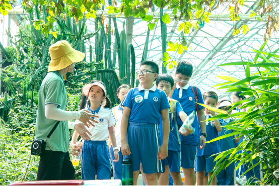 深圳中小学公益研学让中医药文化浸润少年心田