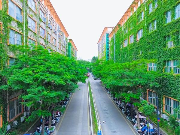 龙田美丽庭院+｜莹展工业园以生态为底，绘就产城新图景