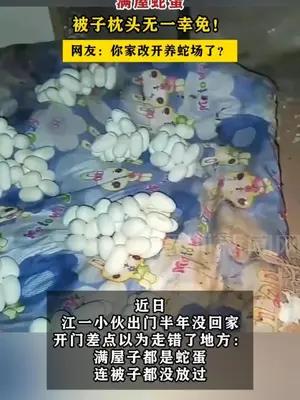 男子离家半年推门瞬间头皮发麻：满屋蛇蛋，被子枕头无一幸免！