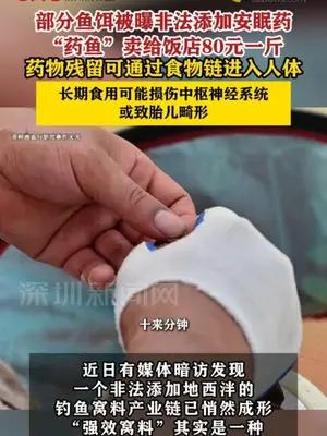 部分鱼饵被曝非法添加安眠药 “药鱼”卖给饭店80元一斤