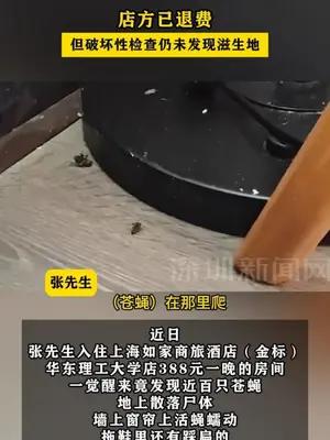 男子入住酒店房内惊现近百只苍蝇