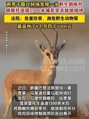 两人骑摩托追猎国家二级保护动物鹅喉羚宰杀烤食获刑