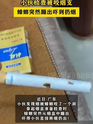 “烟”盒惊魂！小伙检查被咬烟支，蟑螂突然蹦出吓到扔烟