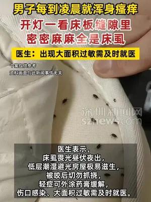 男子每到凌晨就浑身瘙痒，开灯一看床板缝隙密密麻麻全是床虱