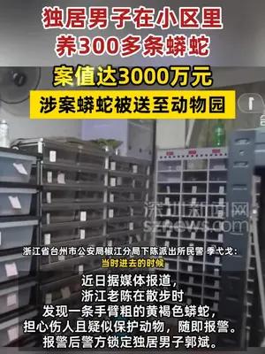 独居男子在小区里养300多条蟒蛇  案值达3000万元
