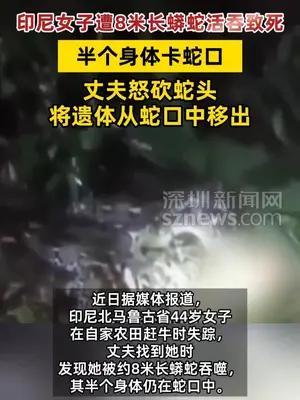 印尼女子遭8米长蟒蛇活吞致死  丈夫怒砍蛇头
