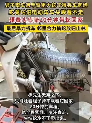 大蛇钻进电动车赖着不走，男子硬着头皮骑20分钟带蛇回家